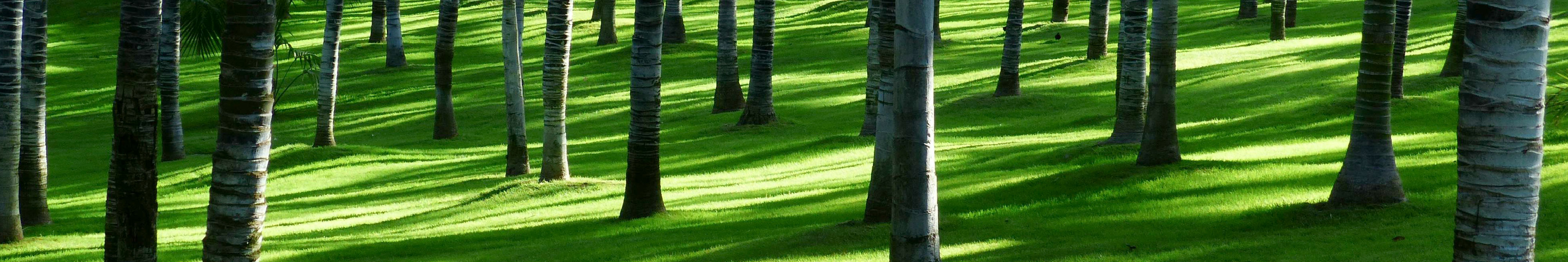 ��һ������