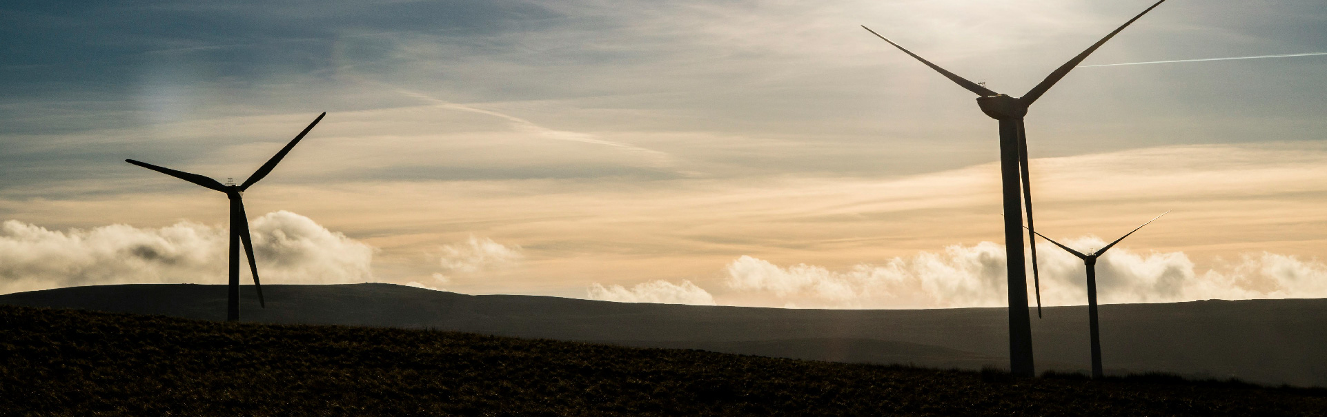 �ŵ�88(�й���)�ٷ���վ