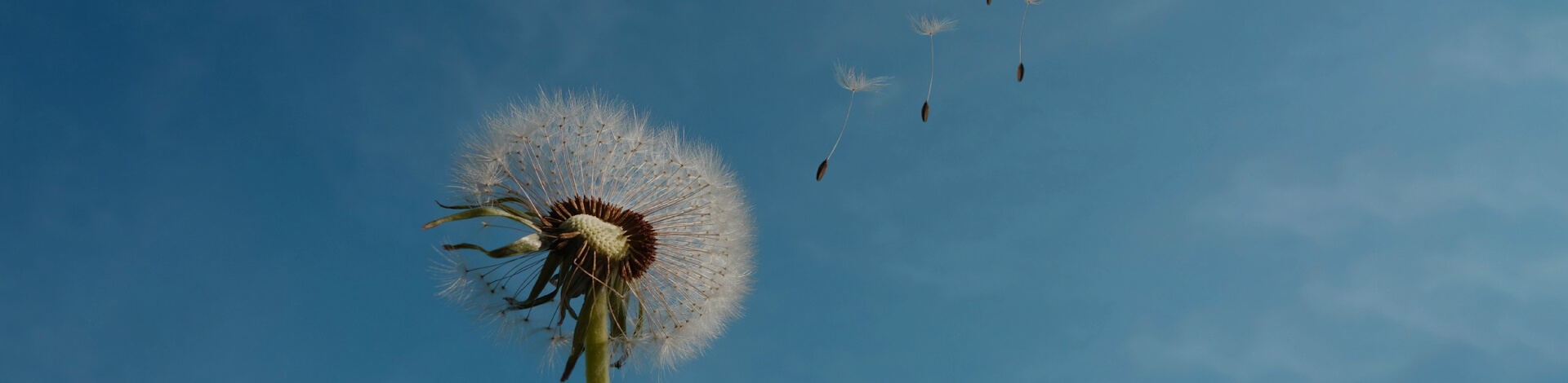 �ŵ�88(�й���)�ٷ���վ